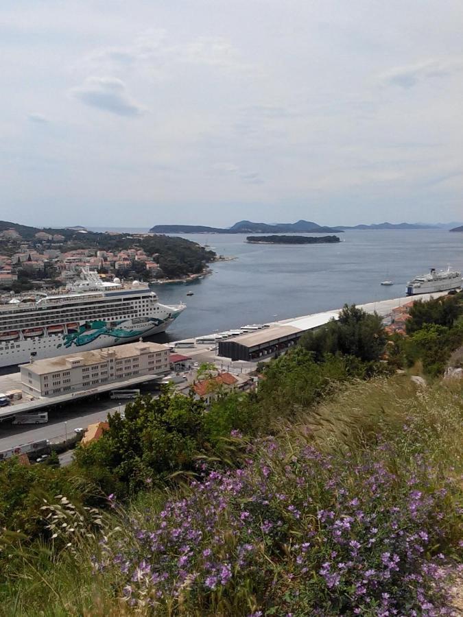 Guest House Taira Dubrovnik Ngoại thất bức ảnh